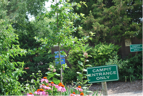 campitentrance Campit Entrance
