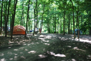 new_tent_area3
